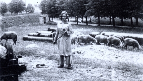 Doris při pasení ovcí v Terezíně, 1943. Zdroj: archiv pamětnice