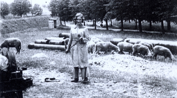 Doris při pasení ovcí v Terezíně, 1943. Zdroj: archiv pamětnice