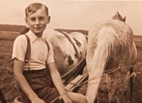 Pavel helping out with farmwork, 1946