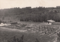 Lesní školka v Sofronce pravděpodobně v roce 1964