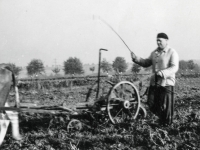 Otec Stanislav Losert při zemědělských pracích na svém poli, 50. léta 20. století