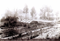 Školka v arboretu s původním skleníkem, stíníkem a domkem s kanceláří Karla Kaňáka kolem roku 1975