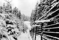 Signal post in winter, Tři Sekery near Mariánské Lázně, ca. 1968/1969