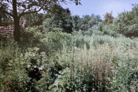 Farmhouse in Budíškovice, 1992