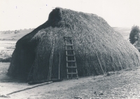 Obydlí, která si stavěli Mapuche (přelom šedesátých a sedmdesátých let)