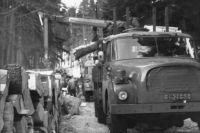 Mining in the Krkonoše forest Rezek, first half of the 1980s