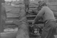 Seventeen-year-old Václav Myslivec at work with a chainsaw at Hrubá Skála in the Bohemian Paradise