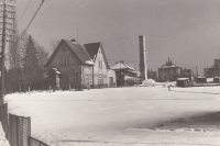 Řehák family gardening centre, 1960s