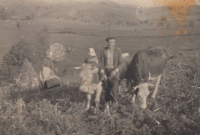 Josef Hána at field work (probably after harvesting corn), Svatá Helena, undated