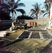 Sušení koncentrátu a ruční vybírání safírů, Laos, 1985