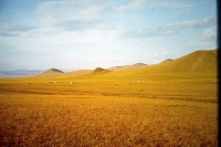 Mongolská krajina, Mongolsko, 1979