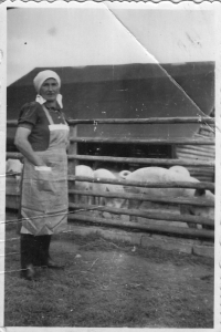 Mum on a farm in Korakov, ca. 1950