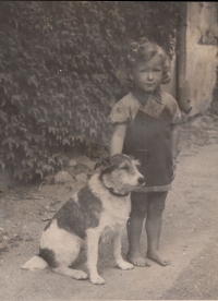 Ludmila Cibulková as a little girl with a dog at her aunt's house in Nekmíř, 1945