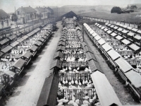 Poultry plant in Prague-Libuš - the business of the witness's maternal grandparents, the Št'astný family, 1940s.