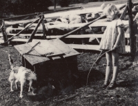 Marianka Cerháková from Oskava, 1950s