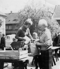 Pamětnice prodává na trhu na II. náměstí v roce 1965