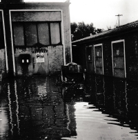 Floods in the Horticultural Plants of Pilsen. Doubrava, February 25, 1985