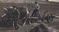 Brother Josef Pospíchal with his father, already in the post-war period