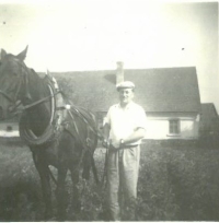 Blahomír starší, otec, při prohrnování brambor s koněm Frajerkou, asi 1952