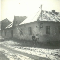 Blahomír a Ludmila, rodiče, a děti Blahomír a Zdeňka, Dřínov čp. 19, asi 1955