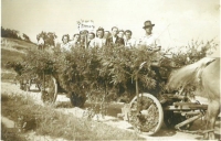 Chasa jede na dožínky, Prosečné, asi 1955