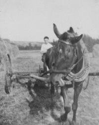 Pamětník s koněm Hankou v roce 1956