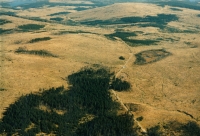 Velké holiny v Jizerských horách, Na Čihadlech, rok 1991