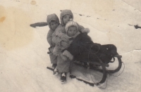 With siblings on a sleigh, 1954-1955