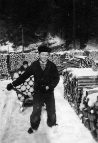 Vilibald Plaček vzadu tlačí saně se dřevem, Bílá 1953