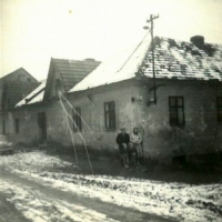 Blahomír a Ludmila, rodiče, a děti Blahomír a Zdeňka, Dřínov čp. 19, asi 1955