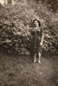 Maminka, vojenský lazaret, Vráž u Písku, 1939-1945