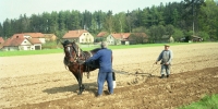 Orba s půjčeným koněm, otec pamětníka, U Tří Kocourů, 1992