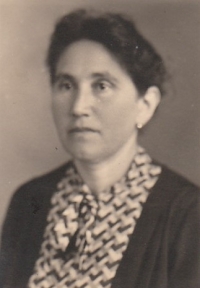 Albertina Lipschitz