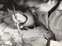 Rat preparation for toxicity tests at the Pharmaceutical Control Institute, 1955