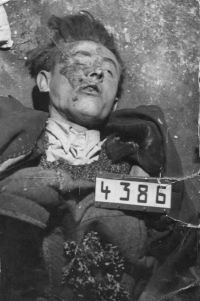 The witness's father, Miroslav Valter Sr., shot by German soldiers on May 7, 1945.