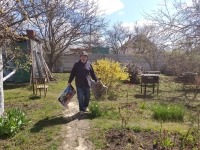 Spring at the dacha, 2020