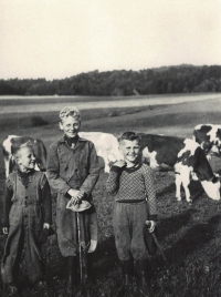 U strýce Mirka Kynčla na statku v Dolním Lánově. Zleva Vlastimil, bratr Milan a bratranec Honza Kynčl, rok 1960