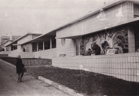 Working on the mosaic panel "Fire". Donetsk Experimental School No. 5, mid 1960s