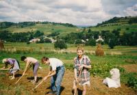 Práce na poli 1992, KOlonica, vlevo maminka pamětnice